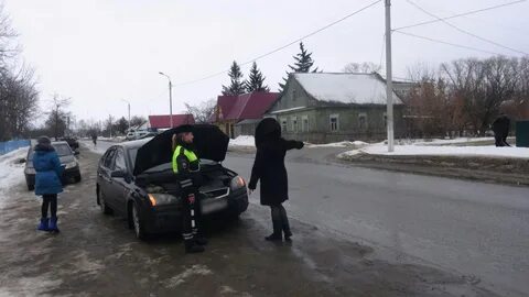 Погода севске брянской 14 дней