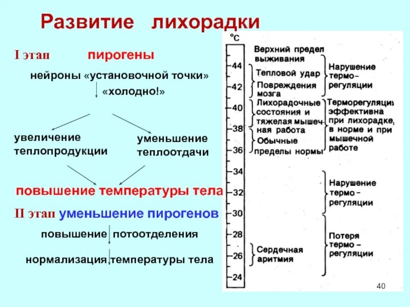 Температура тела кур. Увеличение теплопродукции и теплоотдачи при лихорадке. Механизм повышения температуры. Процесс повышения температуры тела. Механизмы уменьшения теплоотдачи при лихорадке.