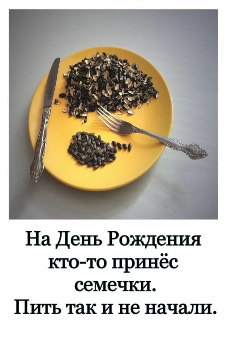 День рождения со смыслом смешные. Принеси семечки. Принеси семечки. Анекдот про семечки. Кто то принес на день рождения семечки.