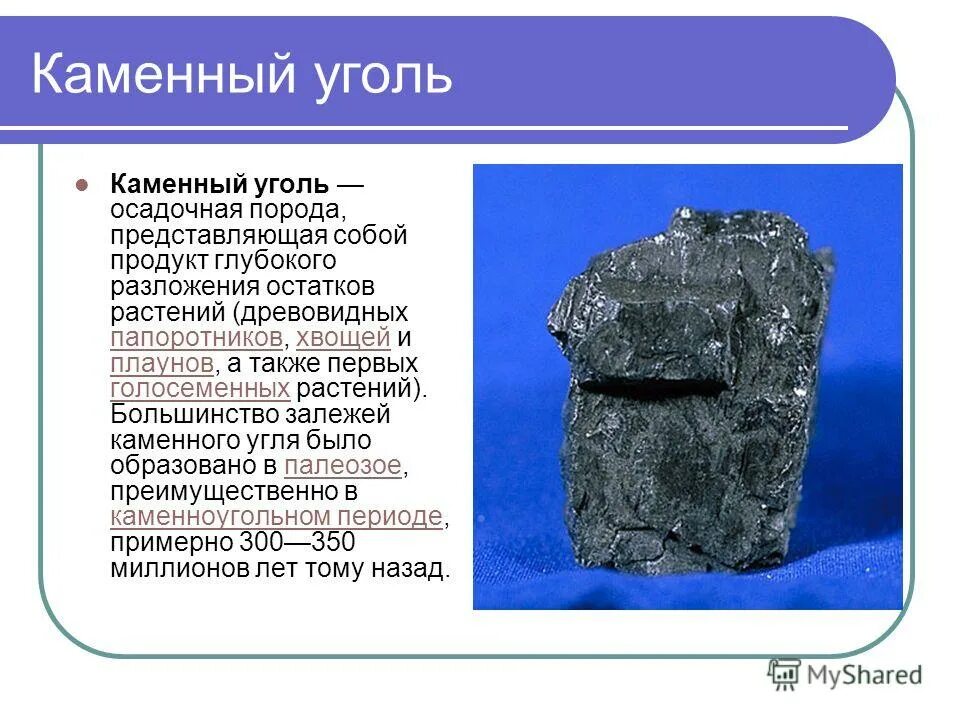 Состояние каменного угля. Каменный уголь Горная порода. Каменный уголь осадочные горные породы. Отложения каменного угля. Уголь осадочная Горная порода.