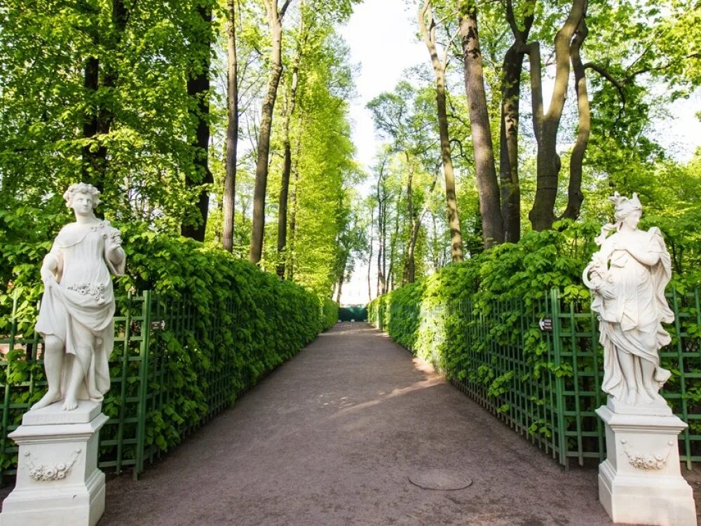 Летний сад алтай. Летний сад в Санкт-Петербурге Пономаренко. Летний сад Петра 1 в Санкт-Петербурге. Музей в летнем саду в Санкт-Петербурге. Боскеты летнего сада.