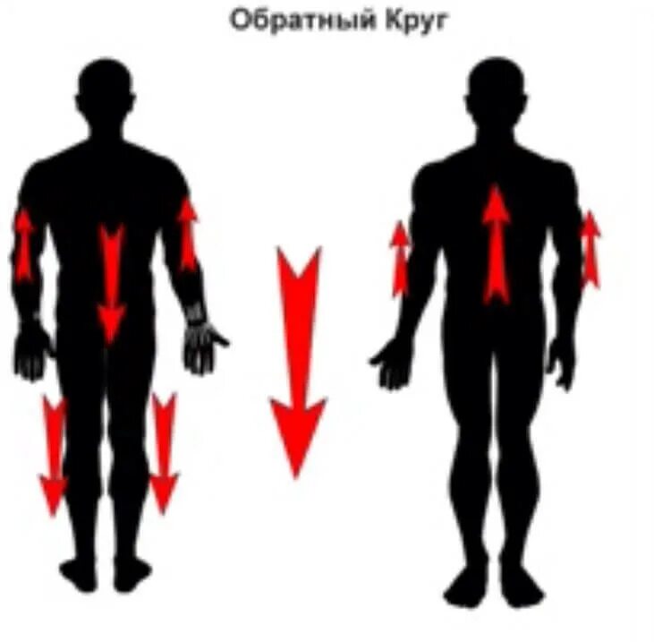 Прямой и обратный круг. Прямой и обратный даосский круг. Прямой и обратный круг энергии. Обратный даосский круг.