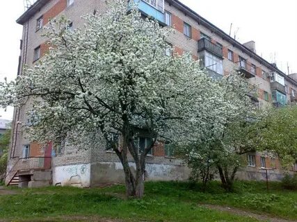 Улицы ясногорска