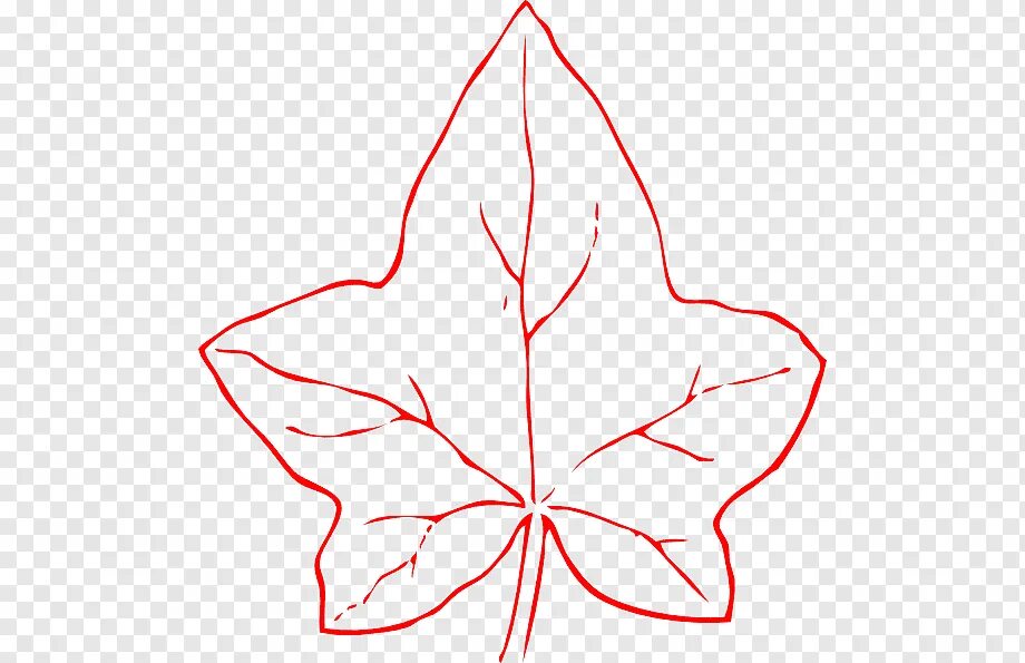 Лист тыквы трафарет. Лист плюща рисунок. Плющ стебля вьюнок. Плющ рисунок. Плющ значок.