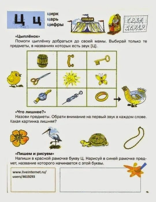 Занятие ц. Логопедические задания на звук ц. звуковая культура речи: дифференциация звуков ц – ч.. логопедическое задание на звук ц для дошкольников. логопедическое занятие в подготовительной группе звук ц.