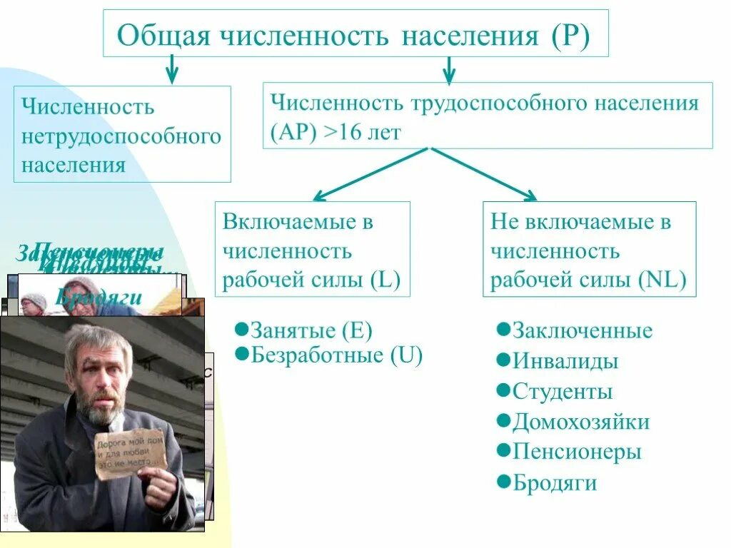 Представители какой группы населения считаются безработными. Занятые и безработные. Трудоспособное и занятое население. Трудоспособные граждане занятые безработные. Рабочая сила и трудоспособное население.