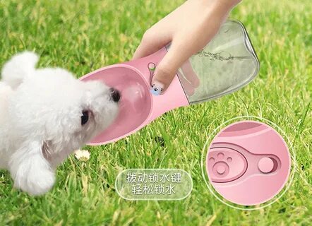 Pet always
