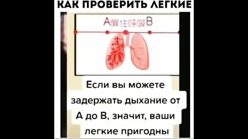 Проверить легкие тестами. Проверка легких. Лёгкие тесты. Test lung что такое. Тест как проверить легкие.