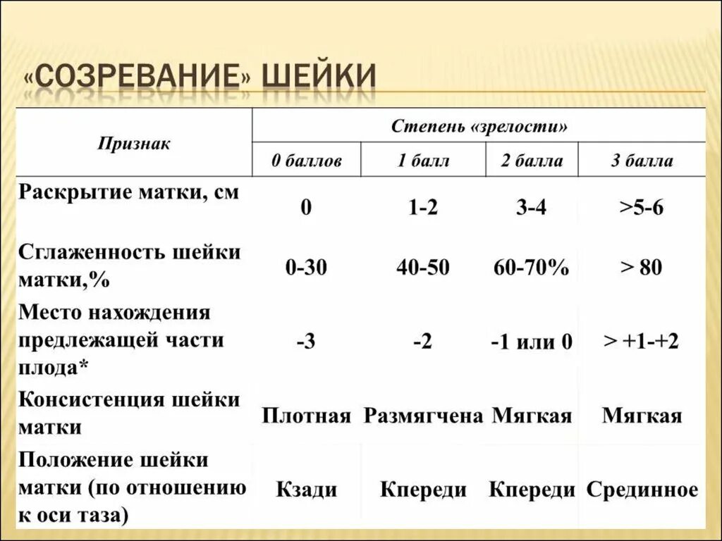 Степени зрелости матки. Степени зрелости матки