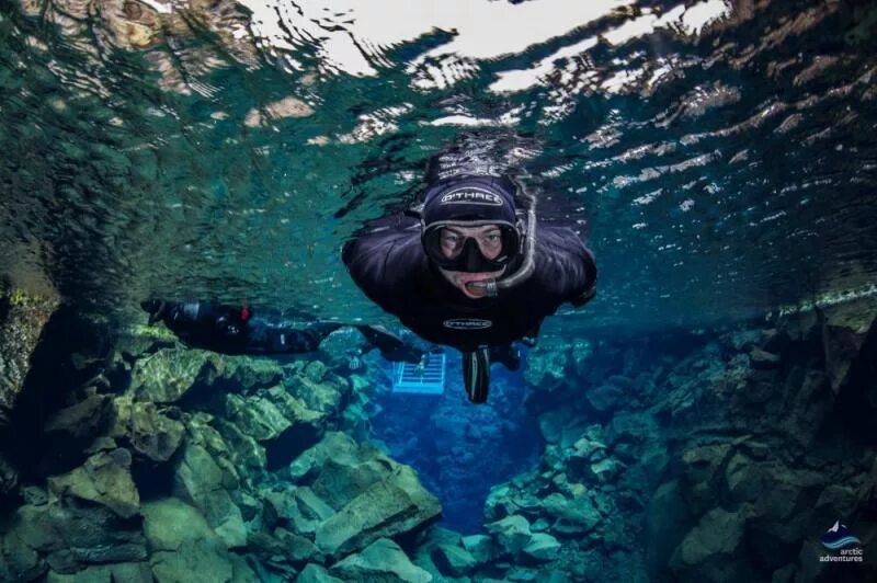 Dive want