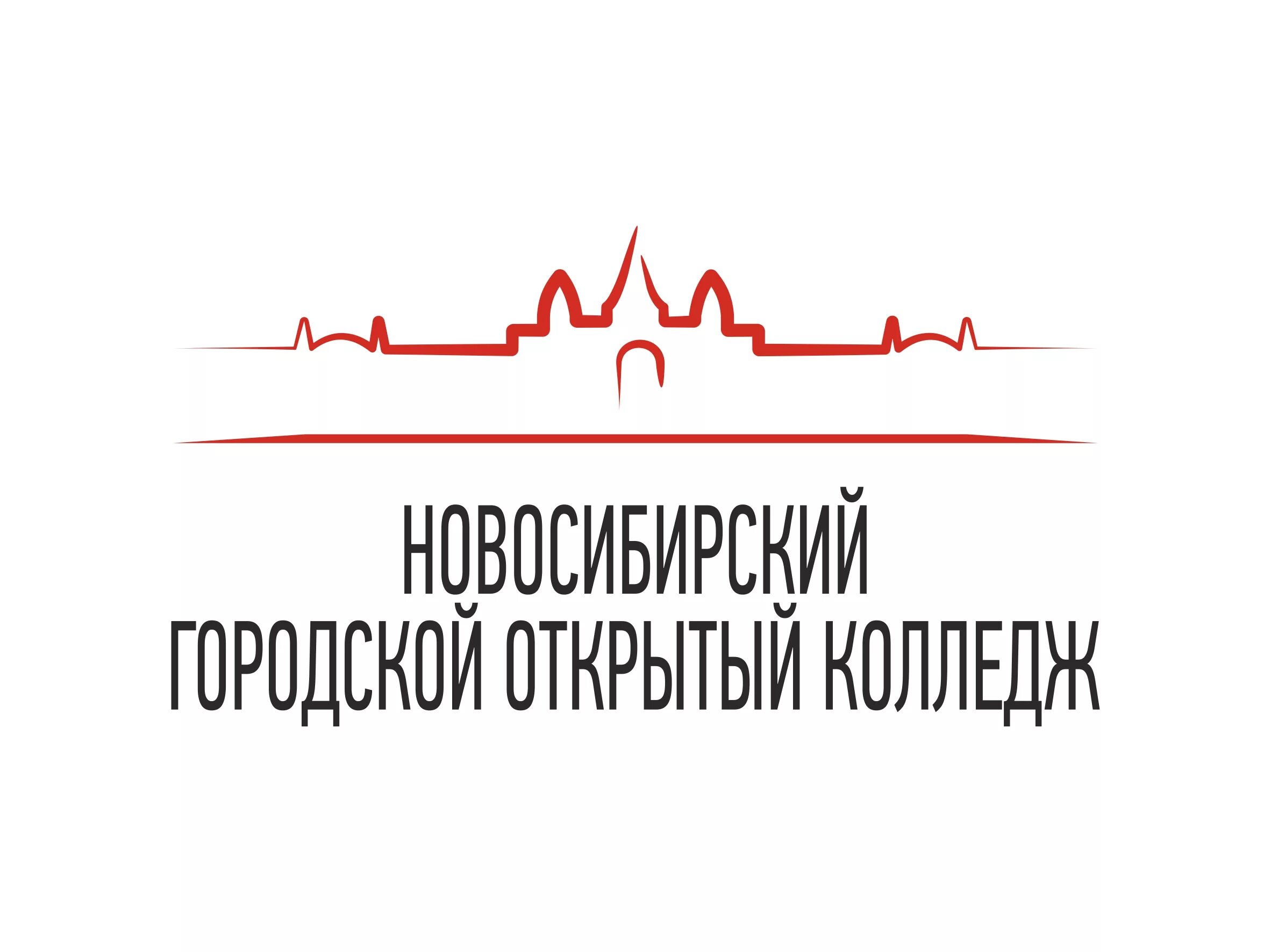 Новоколледж новосибирск. Нгок новосибирск колледж. Новосибирский городской открытый колледж новосибирск. Новый колледж бердск. Нгок сайт новосибирск колледж.
