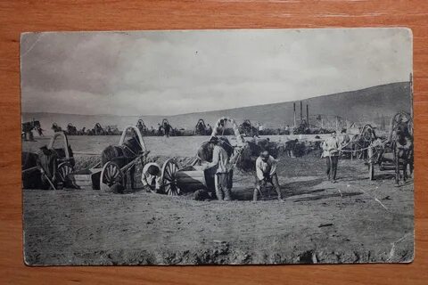 Золотые прииски колора 1
