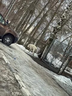 Подслушано ржев черный список