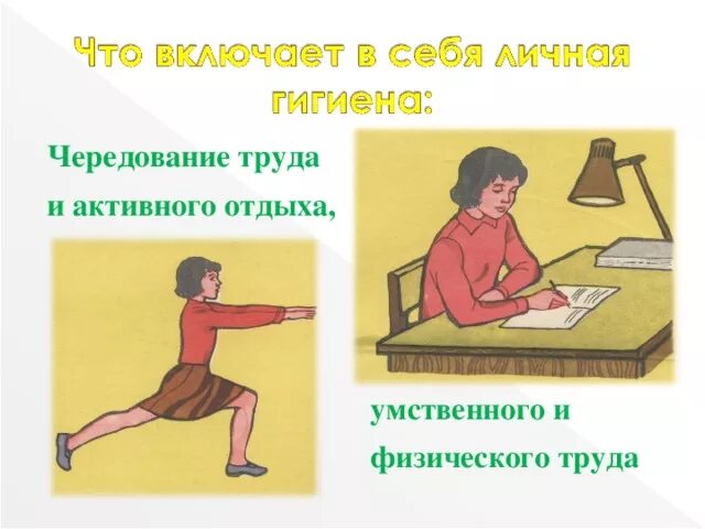 Характеристики физического и умственного труда. Гигиена умственного и физического труда. Умственный и физический труд рисунок. Чередовать умственный и физический труд. Люди умственного и физического труда.