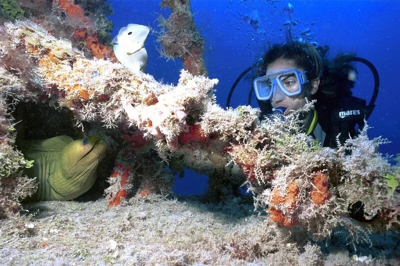 Кайо коко куба снорклинг. Дайвинг варадеро. Варадеро дайвинг. Дайвинг на кубе. Варадеро куба дайвинг.