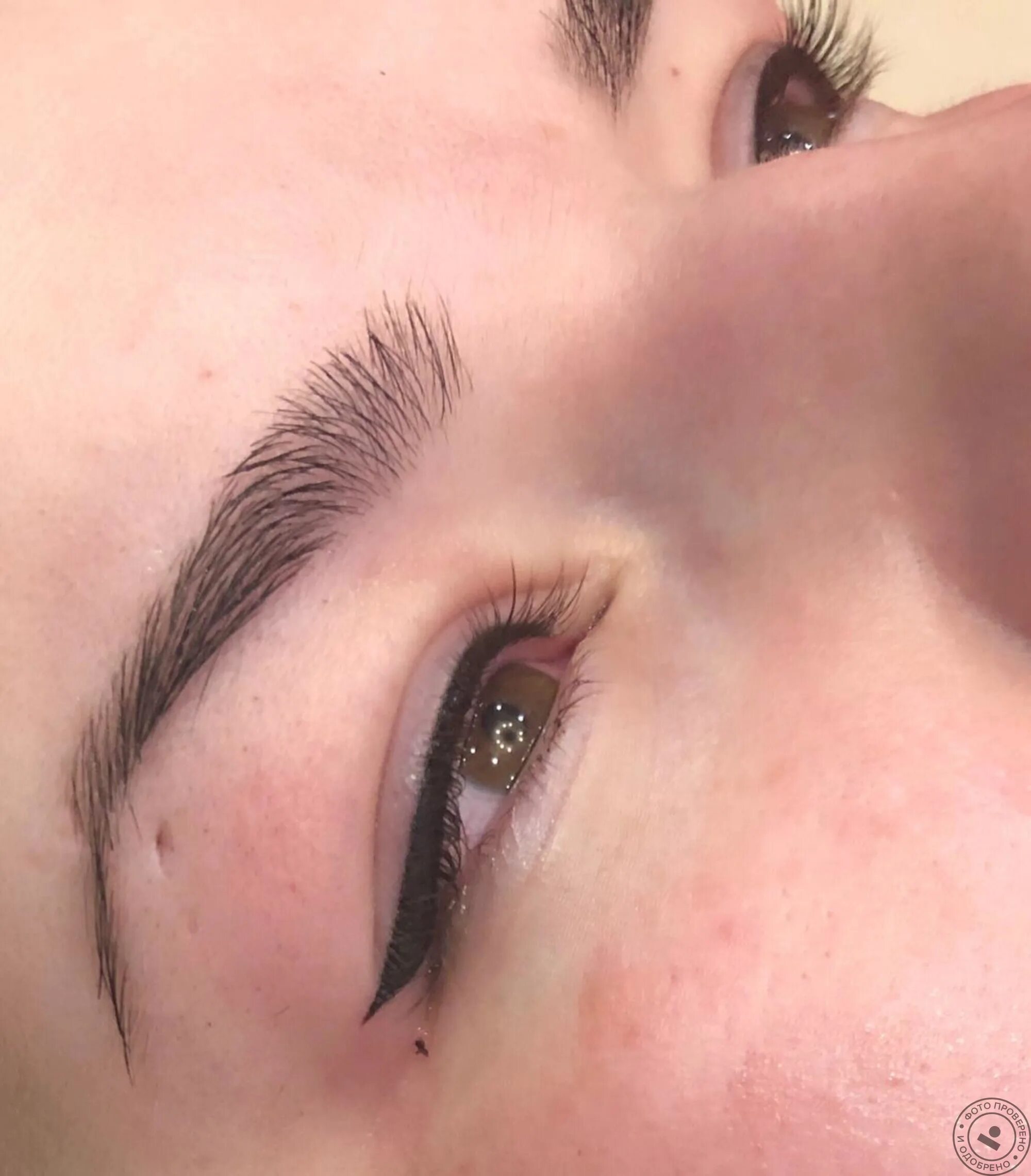 девушки с родинкой над верхней губой. перманентный макияж родинка. татуаж мушка. мушка над губой перманентный макияж. татуаж мушка под глазом.