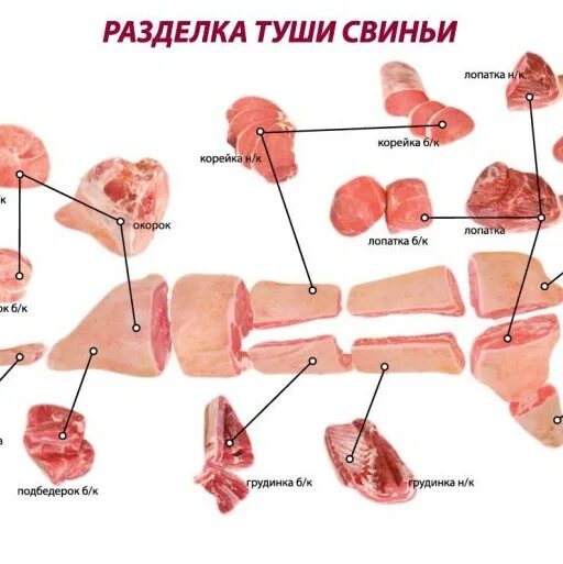 5 свиных туш. Карта разделки свиной туши. Разделка туши свиньи. Как разделать тушу свиньи.