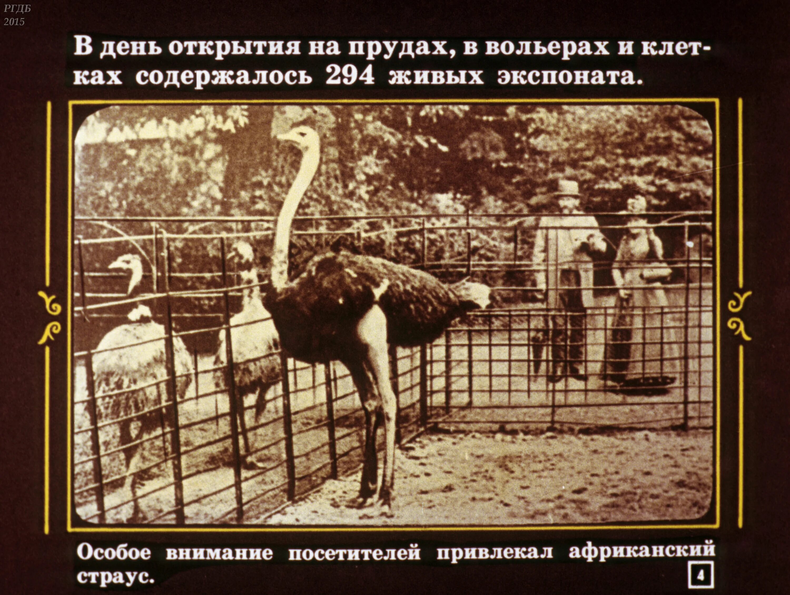 Кем был организован московский зоосад 19 века. Московский зоопарк 1864. московский зоопарк основан в 1864. открытие московского зоопарка в 1864. московский зоосад 1864 год.