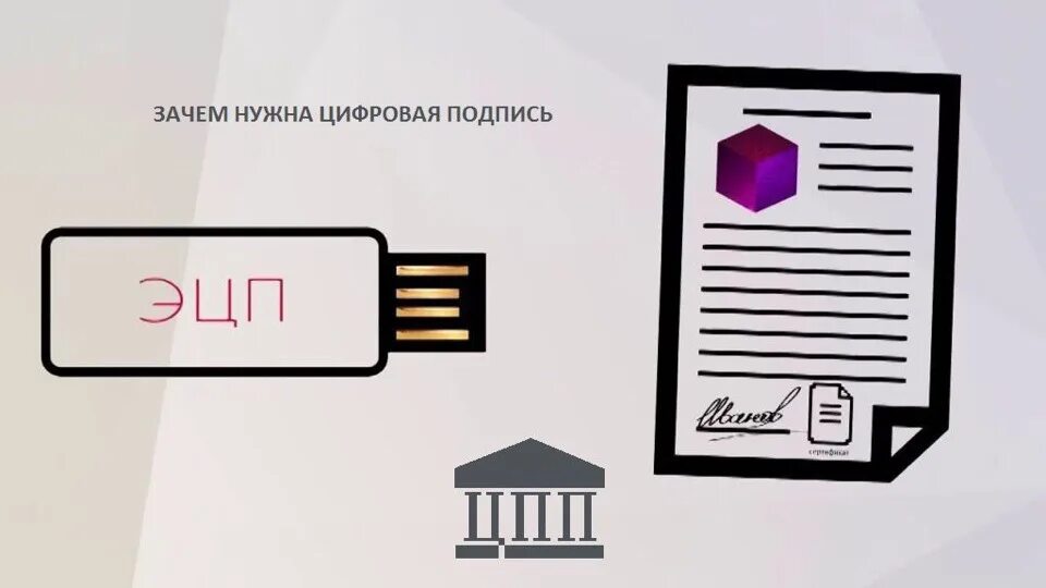 Получил эцп что дальше