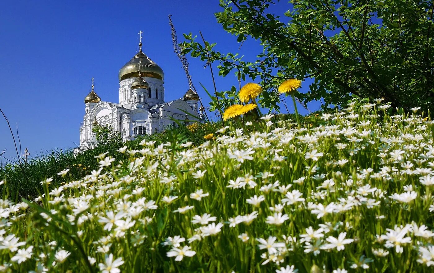 Ромашки и храм. Россия храмы природа. Православные храмы с ромашками. Природа Святой Руси. Город душа россии