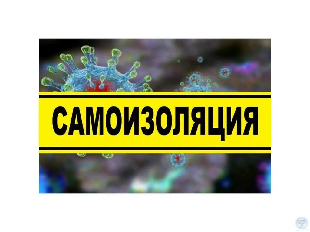 Самоизоляция. Самоизоляция песня. Само овуляция