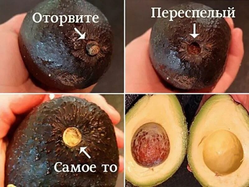 Можно ли есть внутри