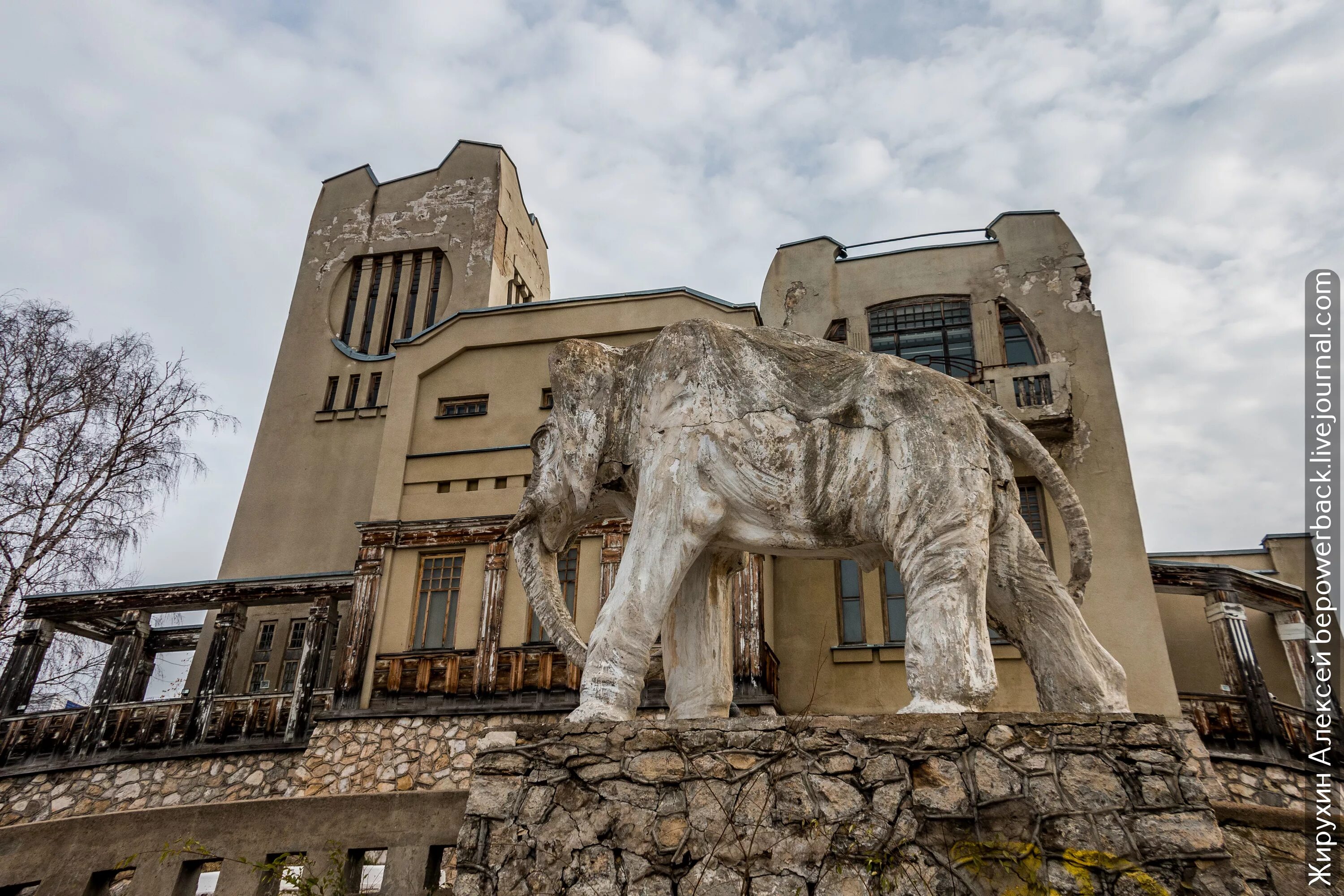 Дача купца головкина самара. Дача купца константина головкина. Дача со слонами. Дача со слонами. Дача купца головкина в самаре.