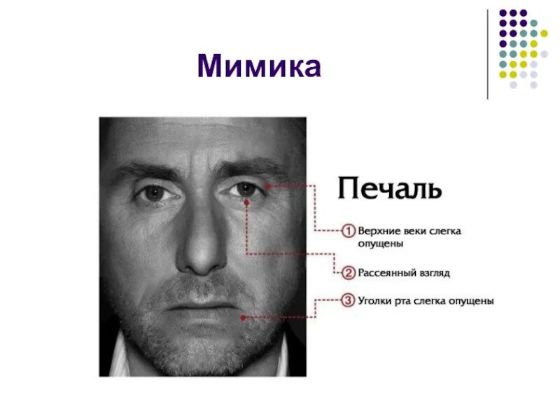 Общение мимика 1. Эмоции. Эмоции на русском. Лица эмоции. Открытость в общении.