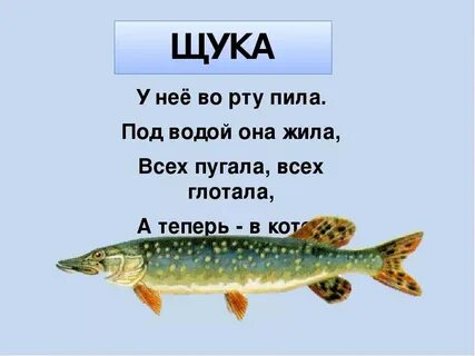 Щукой рыбою ходить ему в глубоких морях