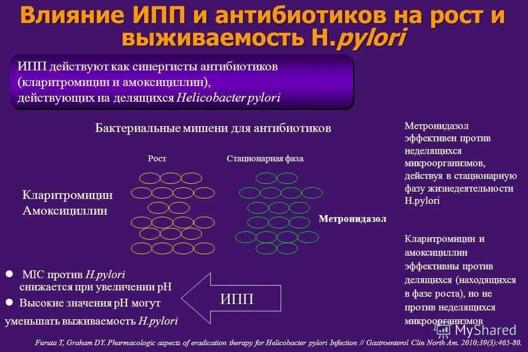 Эффективное лечение хеликобактер. Хеликобактер пилори антибиотики. Схемы лечения хеликобактерной инфекции. Антибиотики против бактерии хеликобактер пилори. Антибактериальная терапия хеликобактер.