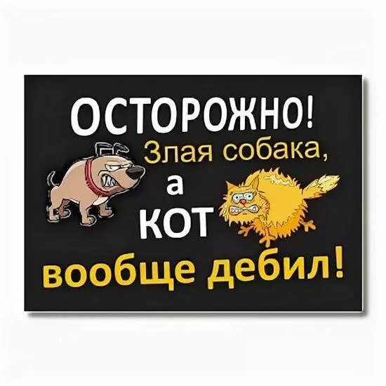 собака злая а кот вообще. табличка "злая собака". табличка злая собака прикольная. а кот вообще дебил. а кот вообще дебил.