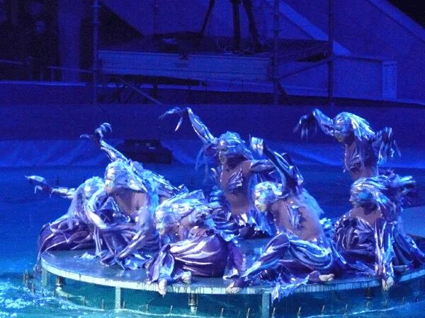 елена бараненко цирк. кабы я была царица цирк. цирковая династия багдасаровых. по щучьему велению цирк вернадского. цирк запашных по щучьему.