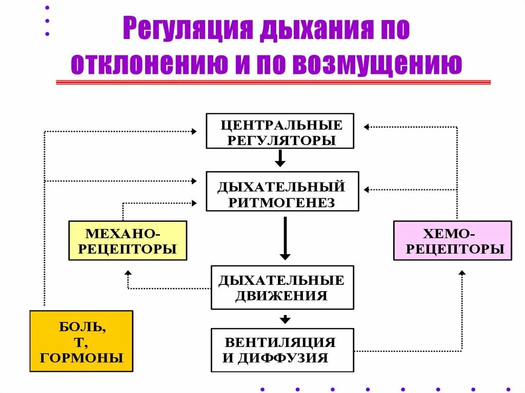 Регуляция по возмущению физиология. Регуляция по отклонению физиология. Кибернетические типы регуляции дыхания. Регуляция дыхания по отклонению и возмущению.