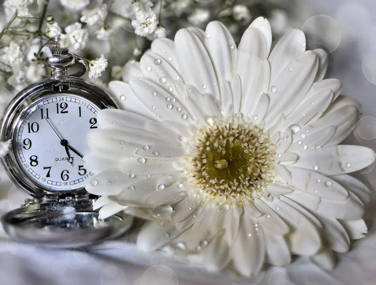 пусть время считает. торопиться время минуты считая. пусть время считает. время любви. часы судьбы.