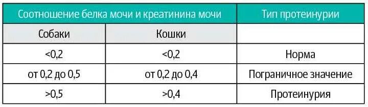 Соотношение белок креатинин в моче. Соотношение белок креатинин в моче у кошек. Нормы соотношения белок/креатинин в моче. Норма белка и креатинина у кошки в моче.