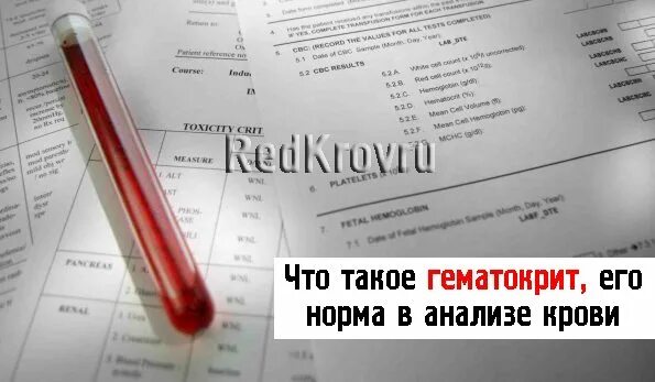 Гематокрит в крови повышены что это значит. Показатель гематокрита в крови. Гематокрит в анализе крови норма. Гематокрит НСТ норма. Гематокрит норма у женщин.