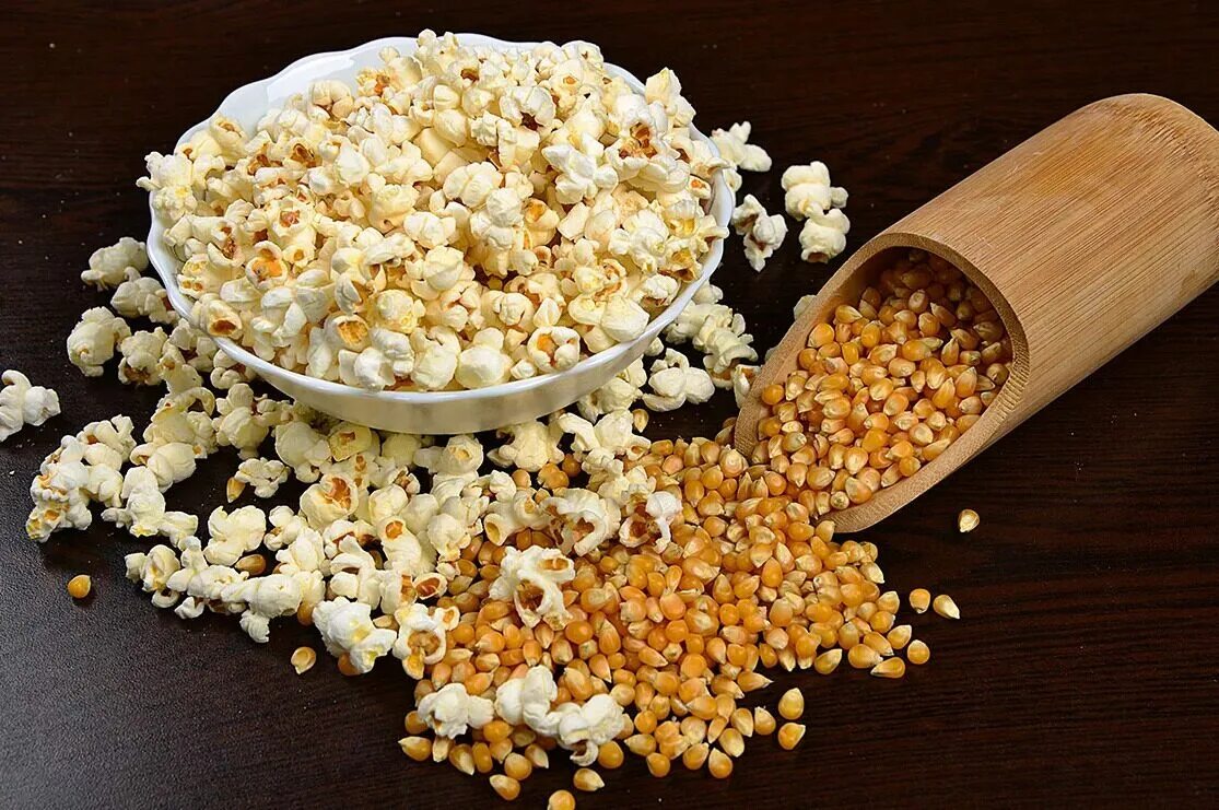 Popcorn 1. Кукуруза лопающаяся попкорн. сорта кукурузы для попкорна. зерно для попкорна popcorn premium. пупкорм зерна кукурузы.