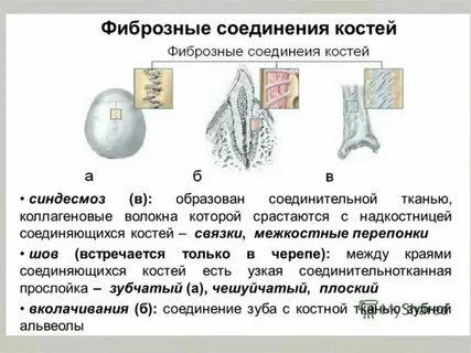 Биологическим гелем является хрящ воздух