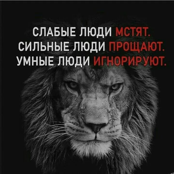 Человек самое слабое существо. Люди это слабые существа. Люди это слабые существа. Бессилие человека. Слабый человек картинки.