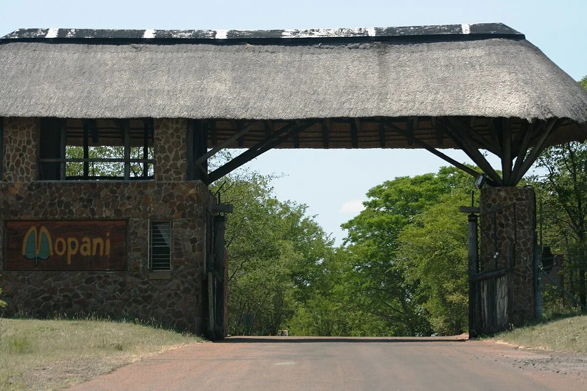 Camp gate. Нижний Саби лагерь Африка парк Крюгера. Ворота лагеря. Национальный парк Бома. Ворота в Пионерский лагерь.