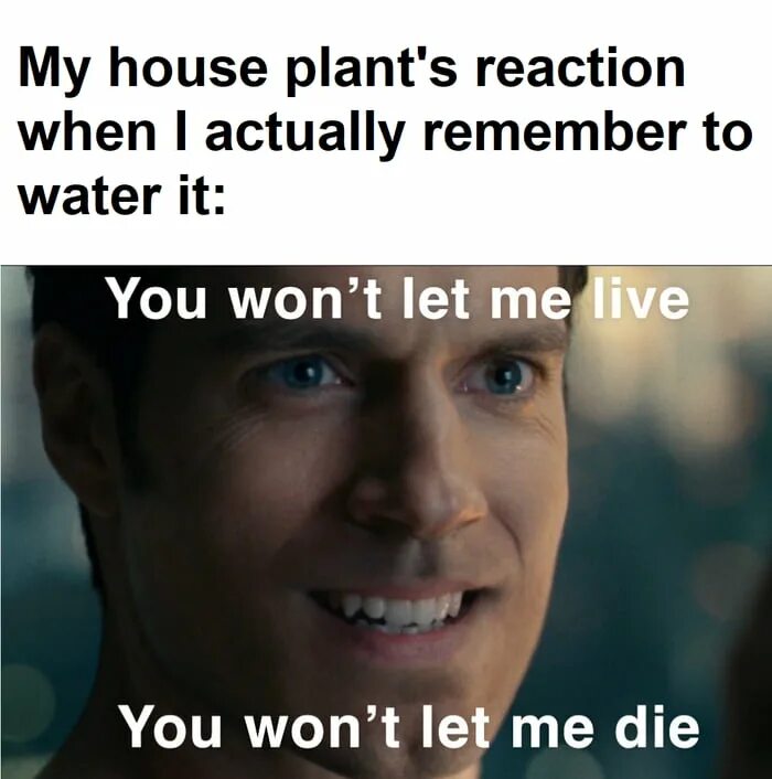 Let me die i know