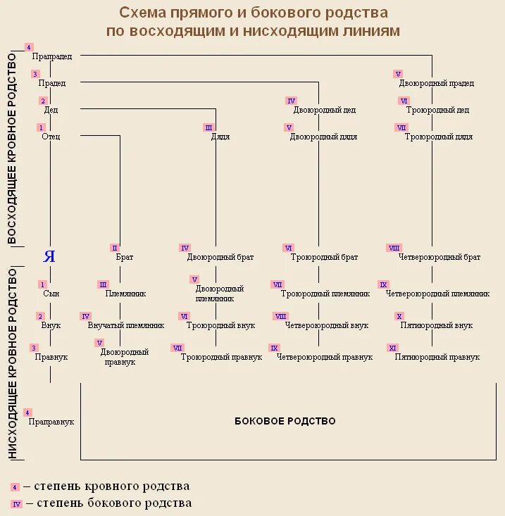 Родственные связи и отношения. Родословная схема кто кому приходится. Схема родственников по степени родства. Таблица родственных связей кто кому приходится. Троюродные брат и сестра степень родства схема.