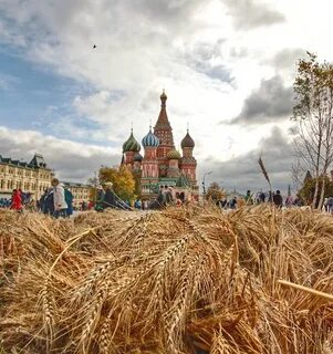 Золотая площадь москва