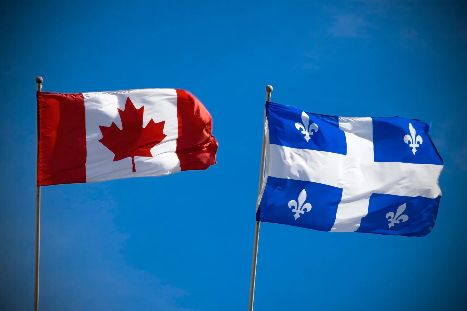 French canada. Флаг французского Квебека. Квебек Канада флаг. Французский Квебек в Канаде. Флаг Quebec Canada.