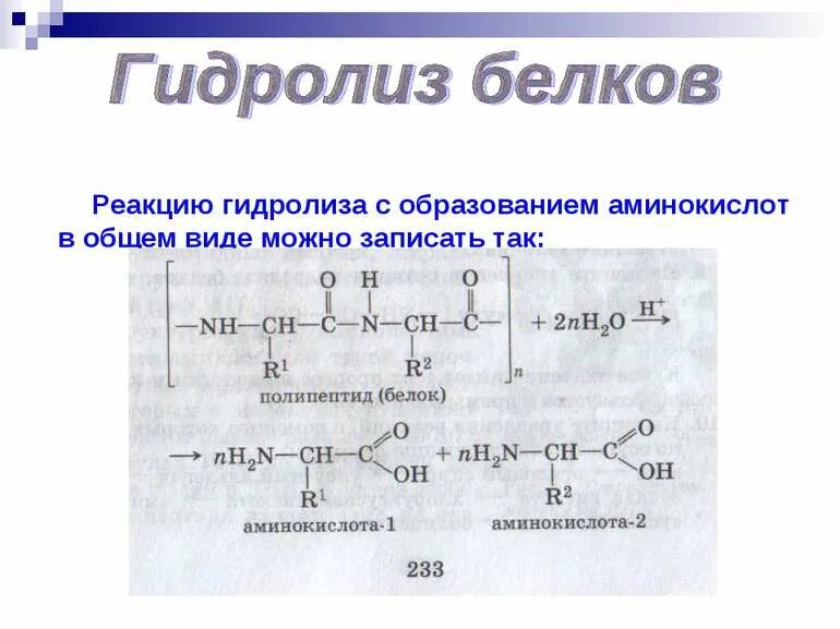 Образование белков. Получение белка из аминокислот реакция. Получение белков из аминокислот это реакция. Белки из аминокислот реакция. Гидролиз пептидов реакция.