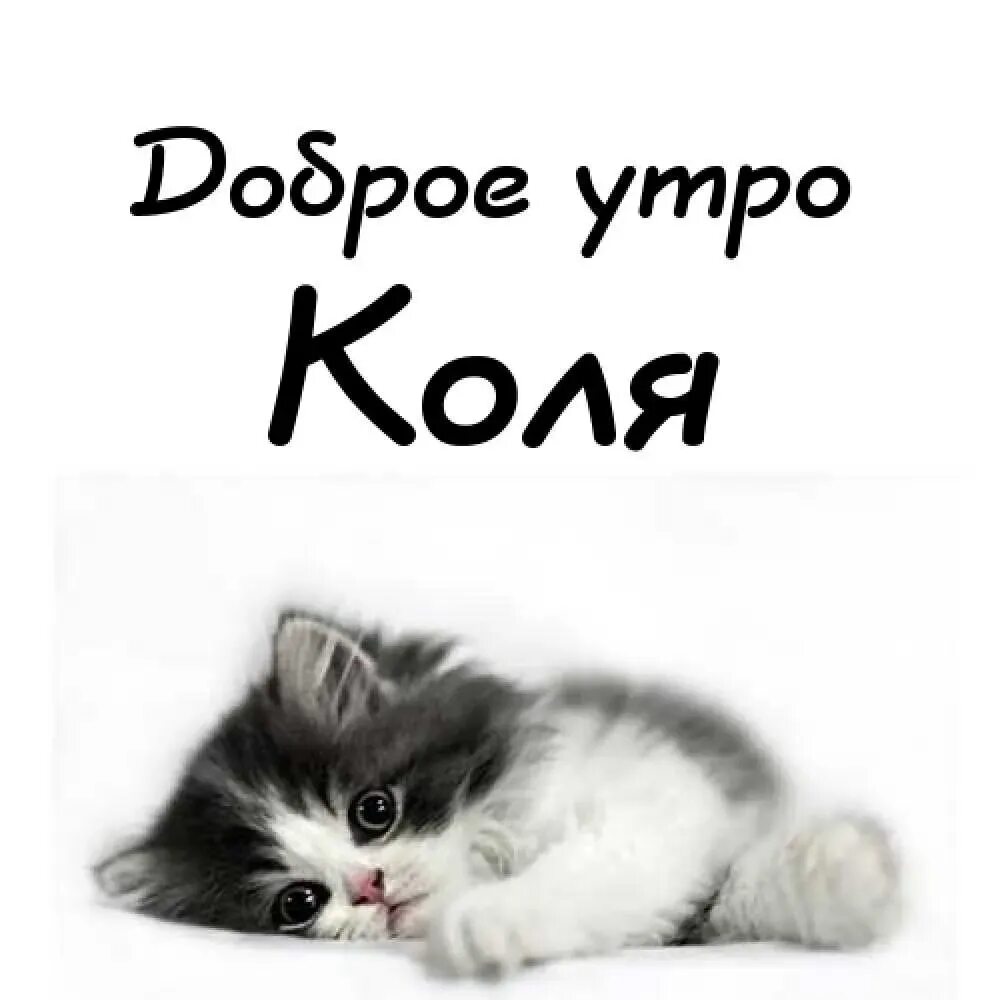 Мем про колю. Мемы про колю. Ну я коля. Коля. Шутки на имя коля.