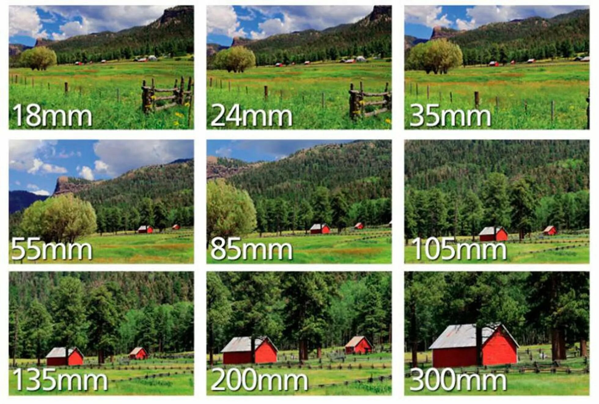 Вид насколько. Разное Фокусное расстояние примеры. Фотографии с разным фокусным расстоянием. Примеры фотографий с разным фокусным расстоянием. Фокусное расстояние объектива примеры.