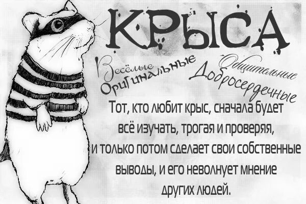 Крыса цитаты. Статус про крыс. люди крысы статусы. статусы про крысятничество. цитаты про крыс.