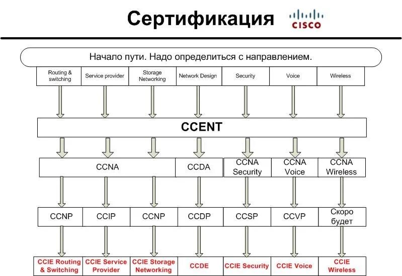 Cisco CCNP сертификация. Сертификация Cisco 2021. Уровни сертификации Cisco. Структура сертификатов Cisco.