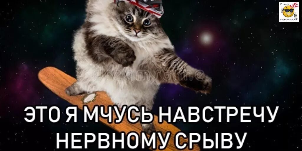 Несущуюся навстречу